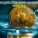 crypto30x.com ocean