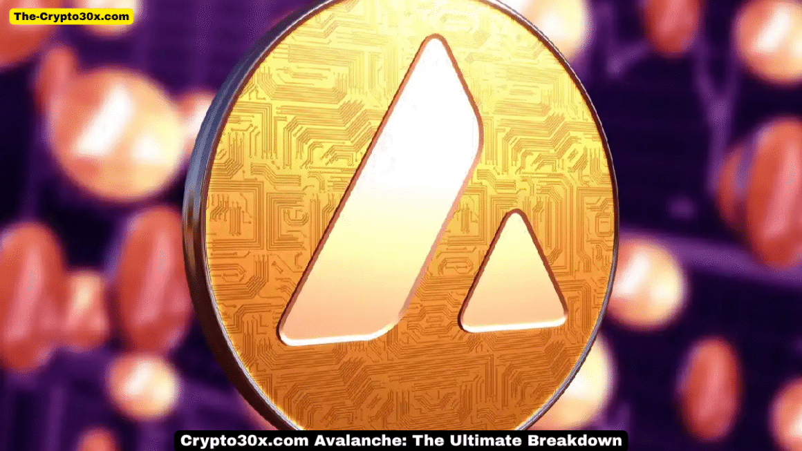 Crypto30x.com Avalanche: The Ultimate Breakdown