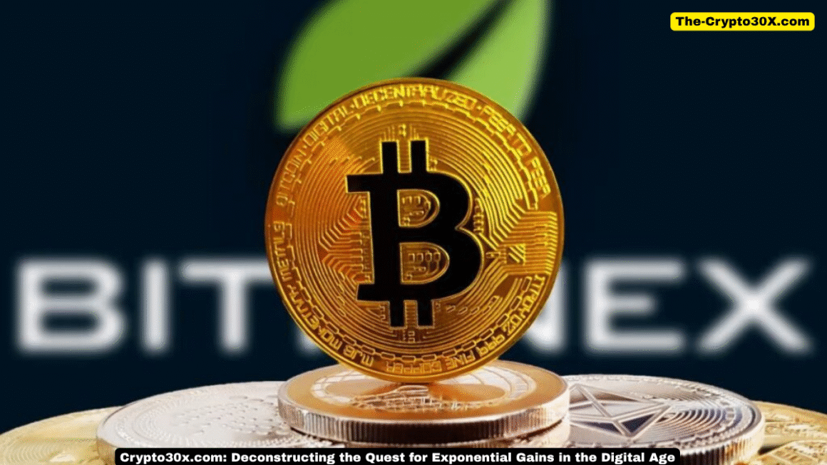 crypto30x.com