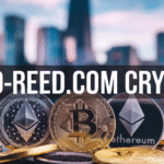 Pro-reed.com crypto: Simple Guide for Everyday Readers